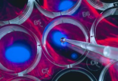 Las empresas que venden productos de células madre de riesgo reciben una advertencia de la FDA