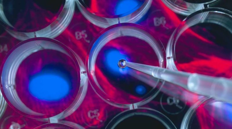 Las empresas que venden productos de células madre de riesgo reciben una advertencia de la FDA